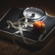 obesity-disease-prolon