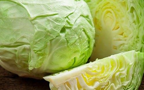 cabbage-benefits-prolon