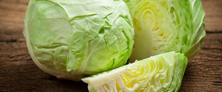 cabbage-benefits-prolon